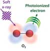 Feshbach resonances in soft x-ray-induced O2 dissociation