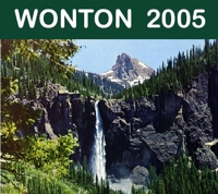 WONTON Logo